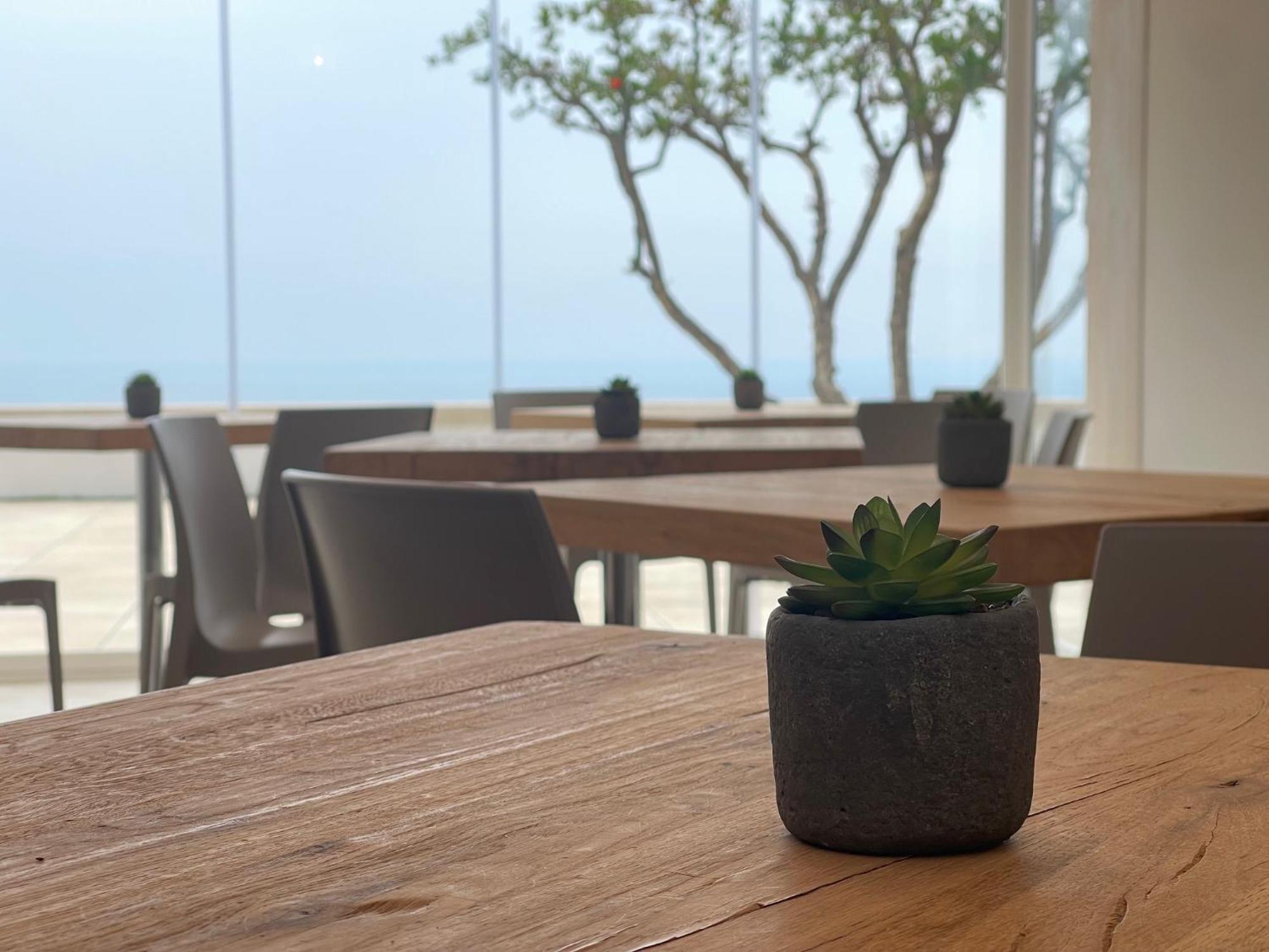 Daedalium Acomodação com café da manhã Marina di Palma Exterior foto